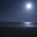 PROCER VENEFICUS - 