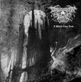 DROWNING THE LIGHT - 