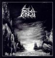FOREST - 
