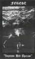 FOREST - 